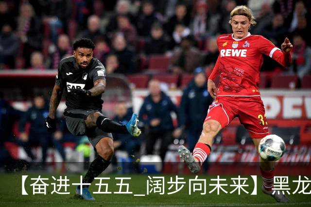 【奋进十五五 阔步向未来】黑龙江农机产业正加速迈向高端化智能化绿色化